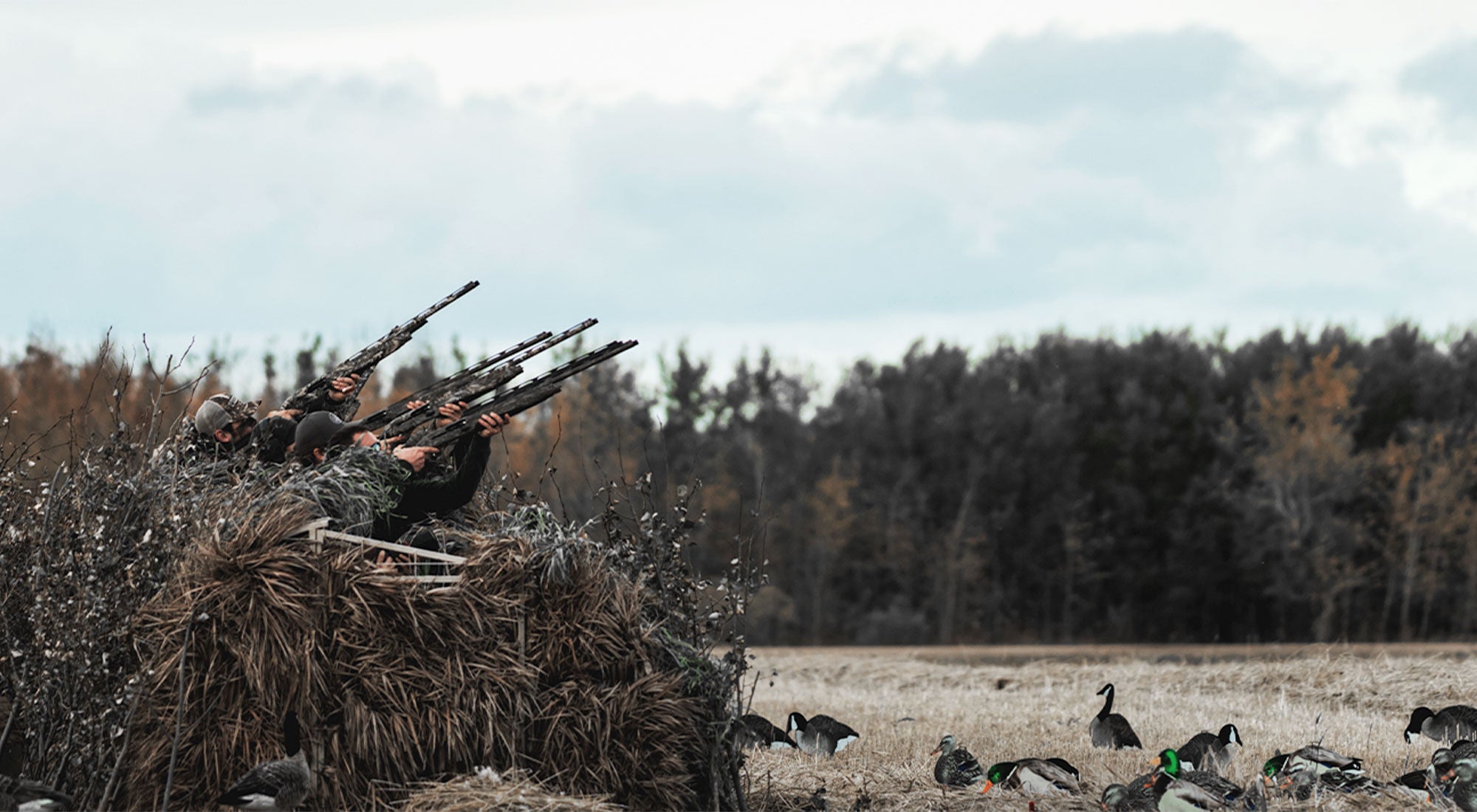 Five Steps to Successful Duck Hunting
