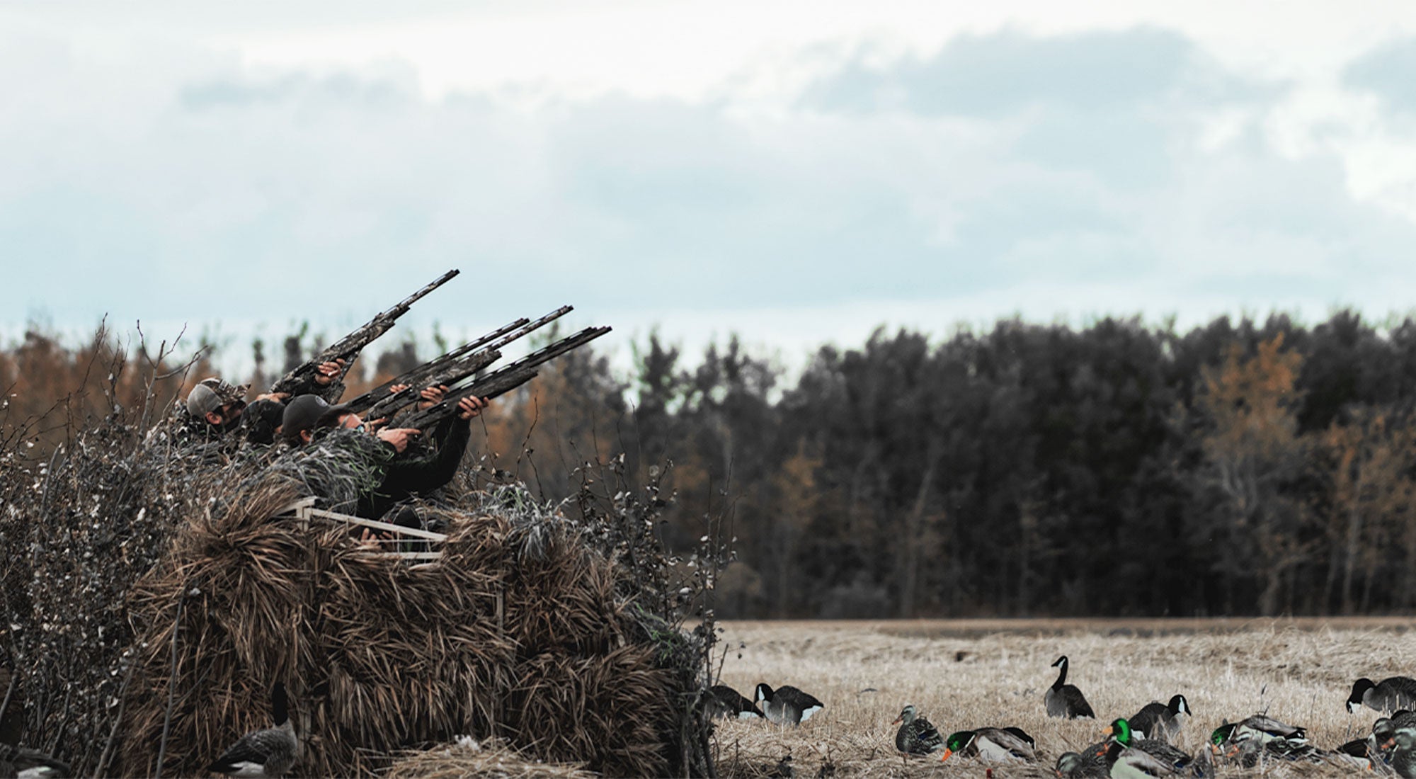 Group of waterfowl hunters pointing their shotguns on a duck blind, ready for hunting.