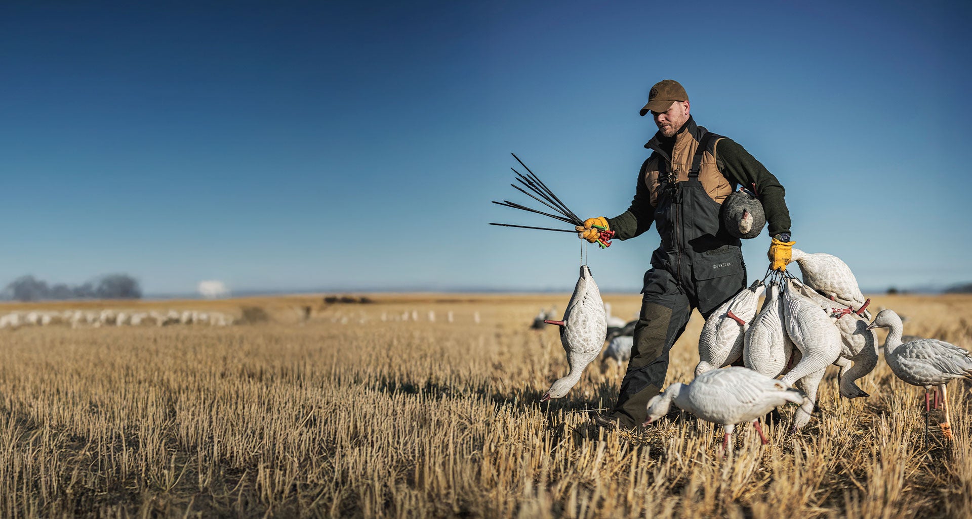 Fall Winter Collection